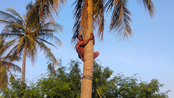 Pampanur Subramanyaswamy Temple