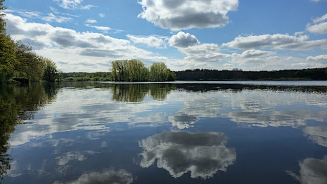 Frauenteich Moritzburg