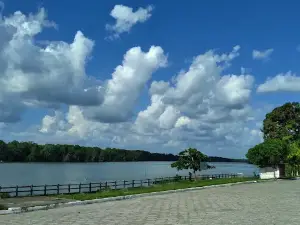 São João da Ponta Extractive Reserve