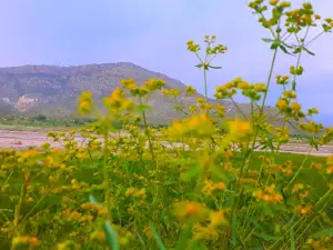 Pirqayum Park