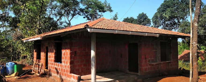 Cardamom Farm