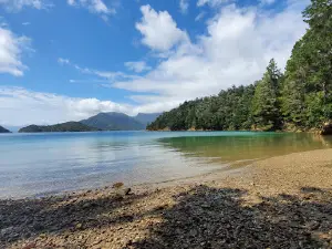 Elaine Bay