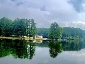 Natchez Trace State Park and Forest