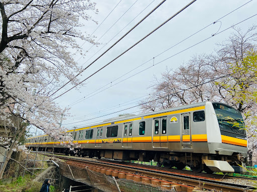 sakura_resortページ 868c7f03-1279-4a5b-8efb-