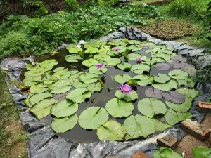 Lovely Nursery