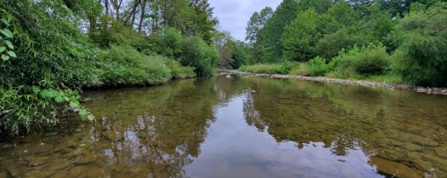 Bald Eagle Creek
