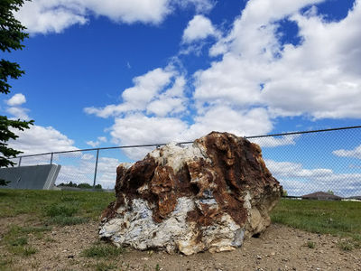 Western Star Complex