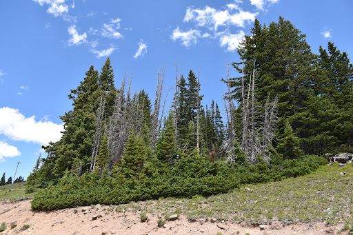 Berthoud Pass