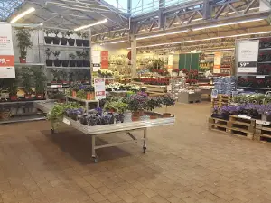 Plantasjen