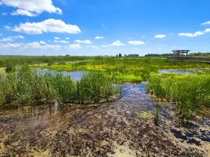 Egret Hiking Trail and Boardwalk Trailhead