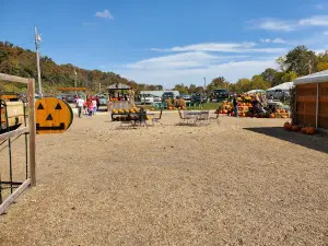 Cave Pumpkin Patch