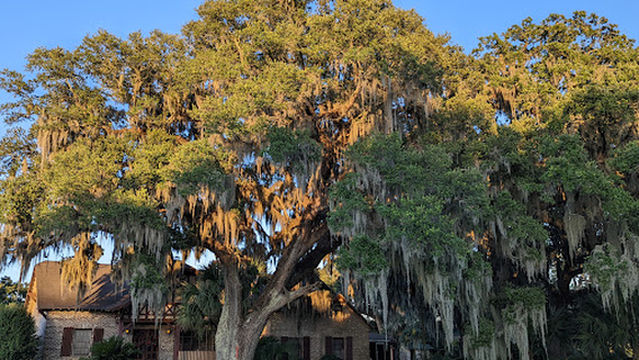 Oak Plantation Camp Ground