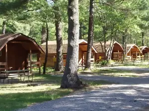 Gaylord KOA Holiday