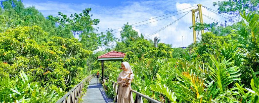 Pulau Bakut