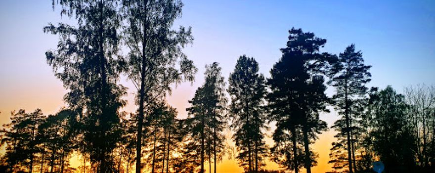 Orrefors Camping AB