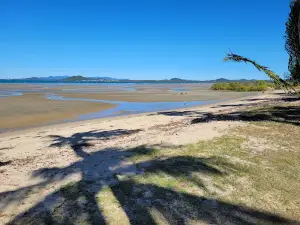 Dog-off-leash Beach