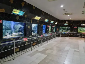 Pasak Chonlasit Aquarium