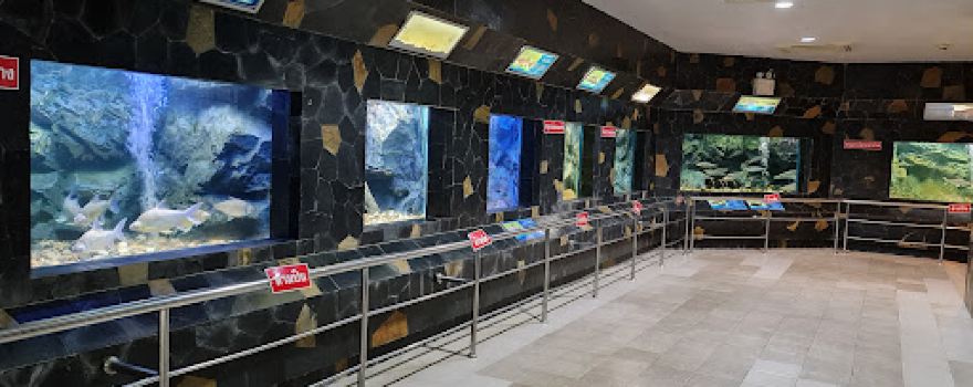 Pasak Chonlasit Aquarium