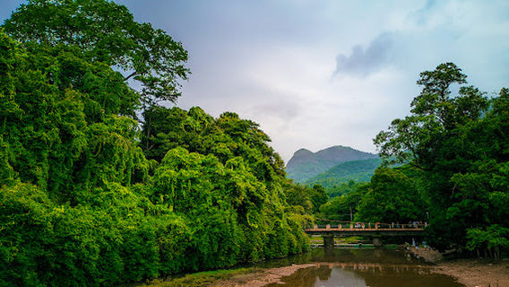 Akkare Kottiyoor Maha Siva Temple