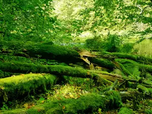 Piekło