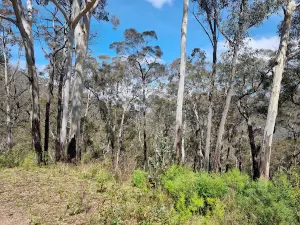 South East Forest National Park