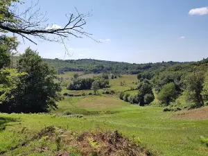 Natural Reserve of the Bog of Dauges