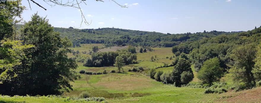 Natural Reserve of the Bog of Dauges
