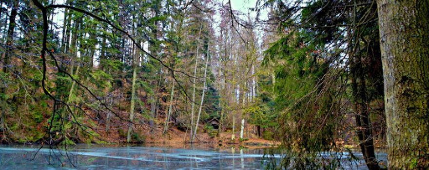 Bergsee