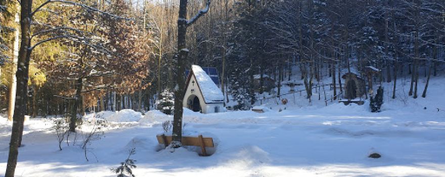Crescentia Kapelle mit Waldpark