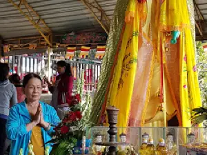Cây Da Ba Gốc Một Ngọn