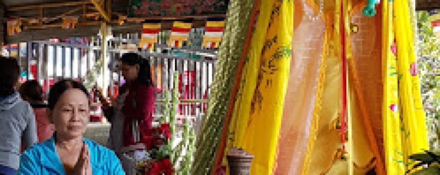 Cây Da Ba Gốc Một Ngọn
