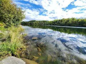 Wiener Lake