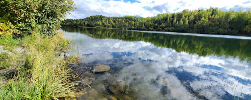 Wiener Lake