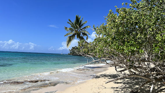 Playa Caleton