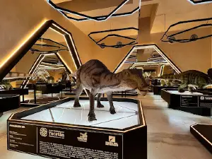 Museo del Meteorito