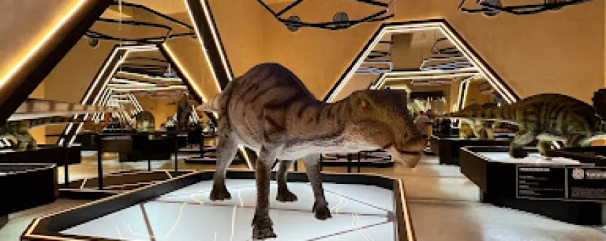 Museo del Meteorito