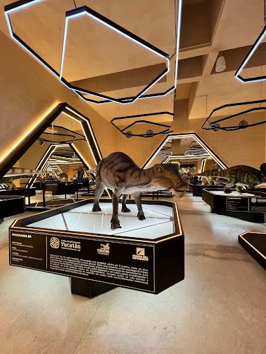 Museo del Meteorito