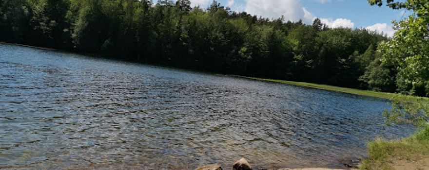 Grorudvannet Badeplass