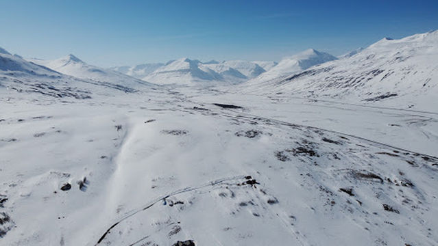 Hánefsstaðaskógur