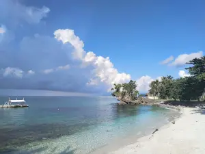 1peace divers - dive center Anda Bohol