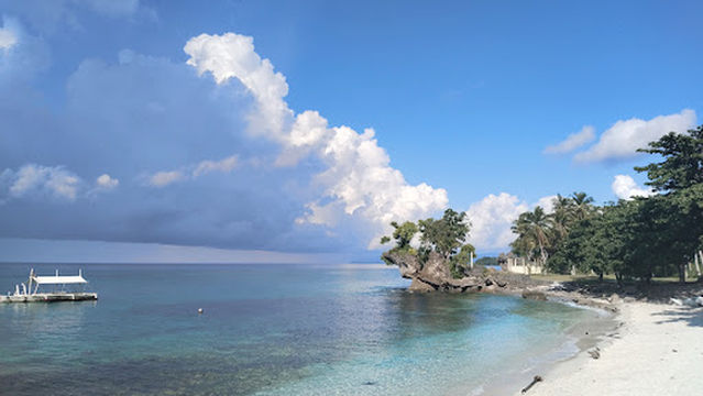 1peace divers - dive center Anda Bohol