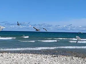 Seagull Point Park