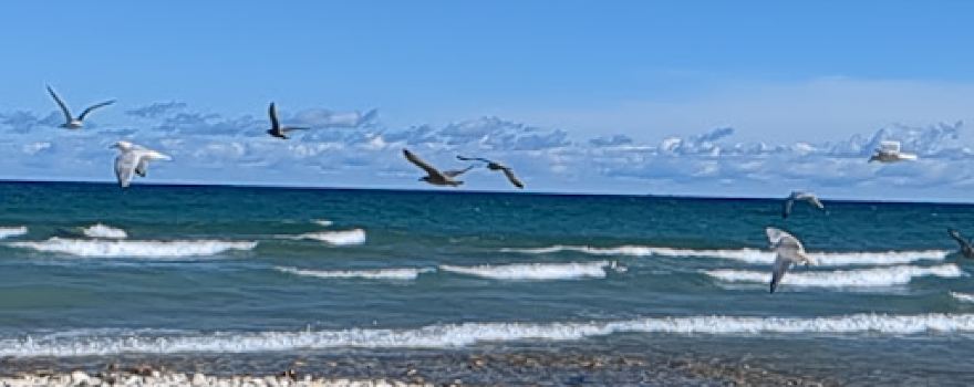 Seagull Point Park