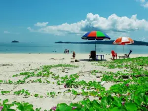 Bãi tắm Hồng Vàn