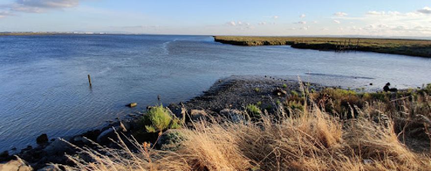 Riserva naturale dell'estuario del Tago