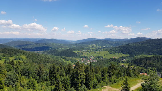 Kolej linowa letnia Polana Strugi - Hala Szczawiny