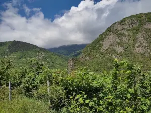 MAÇKA CAMPİNG ,VERİZANA