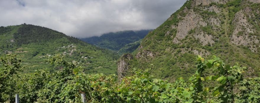 MAÇKA CAMPİNG ,VERİZANA