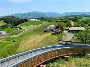 Mooland Motoyoshi