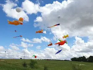 Musee Du Cerf-volant